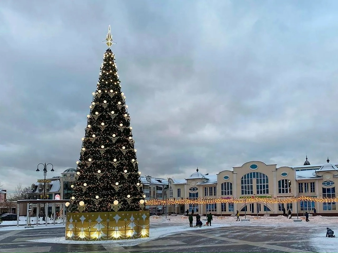 Приём заявок на конкурс «Ёлки России» продолжается