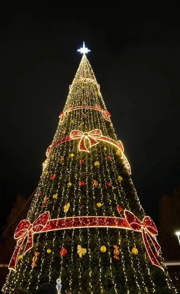 Приём заявок на конкурс «Ёлки России» продолжается