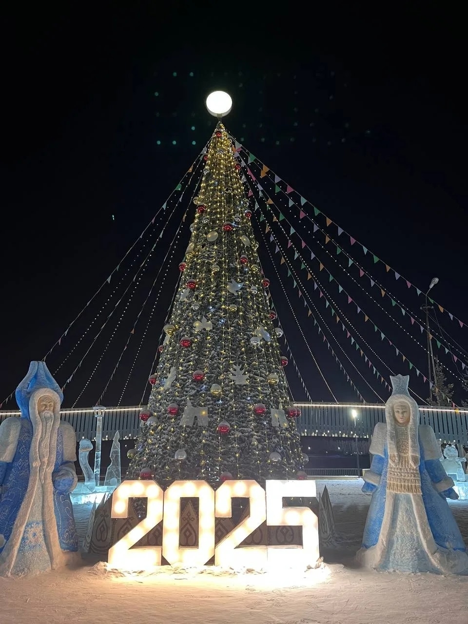 Приём заявок на конкурс «Ёлки России» продолжается