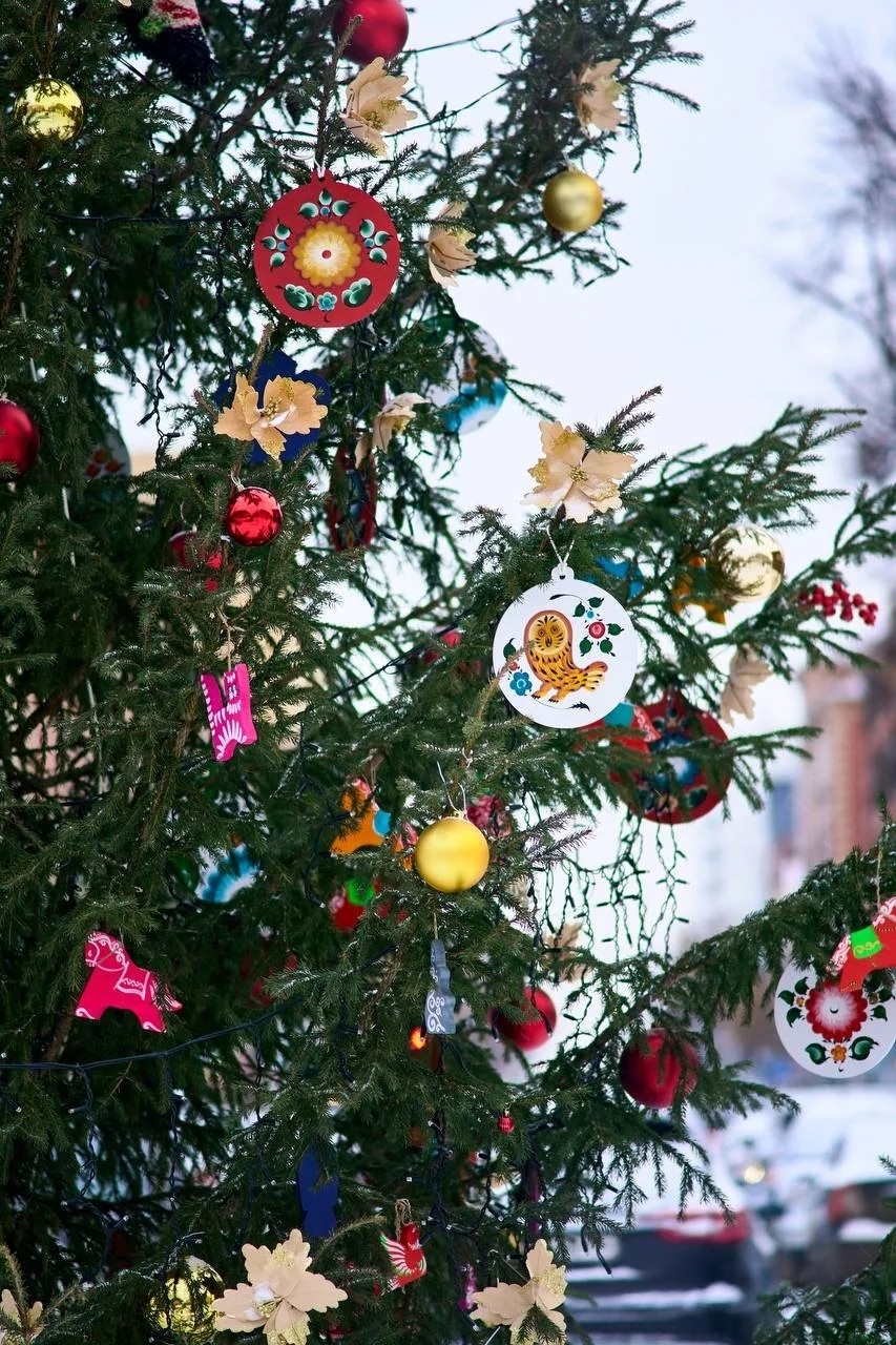 Приём заявок на конкурс «Ёлки России» продолжается