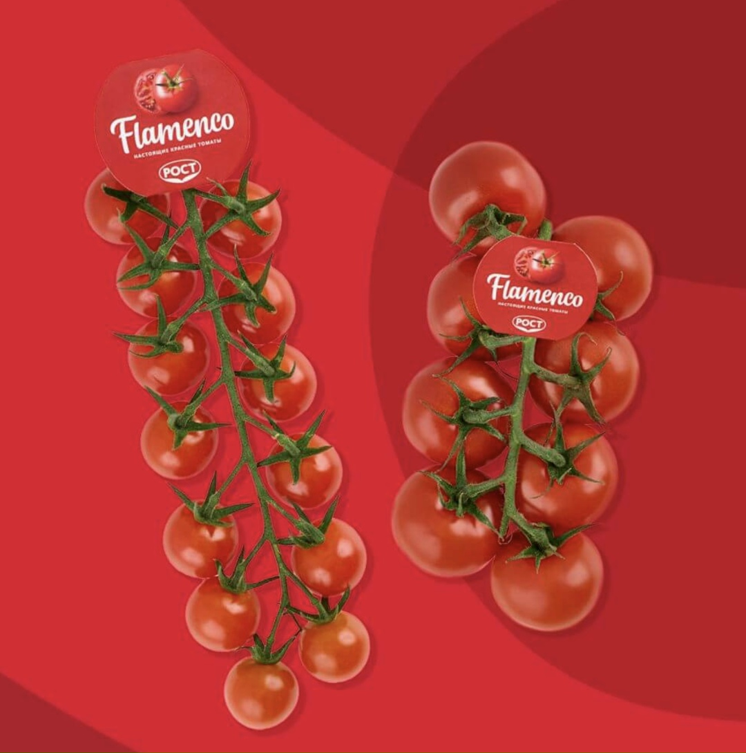 Группа компаний «Рост» вышла на рынок Казахстана — поставила первую партию томатов черри «Медовые» и ярко-красных томатов Flamenco. Партия овощей будет…