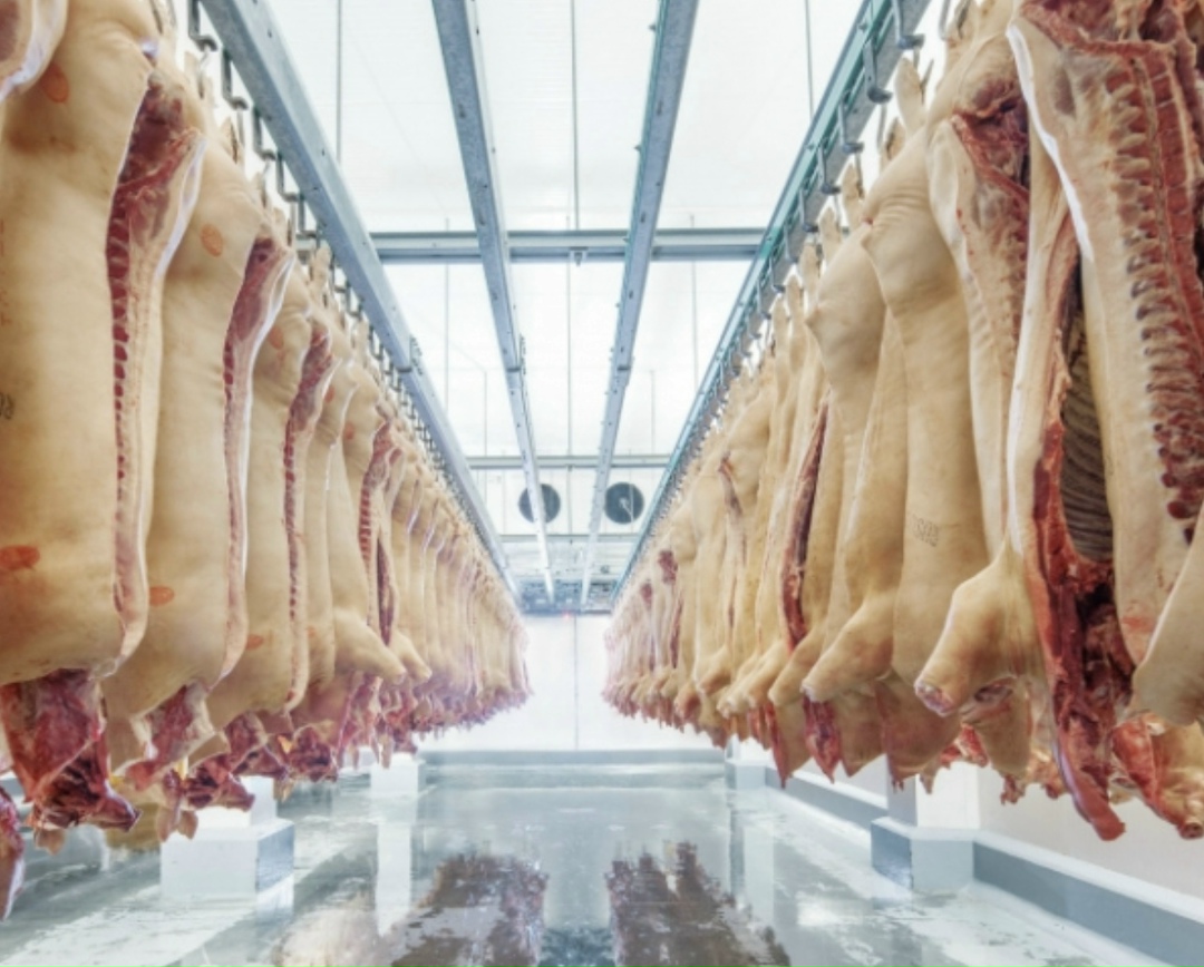 По прогнозам Национального союза свиноводов (НСС), к 2030 году российские свиноводы нарастят производство на 750 тыс. т в убойном весе, из которых порядка…