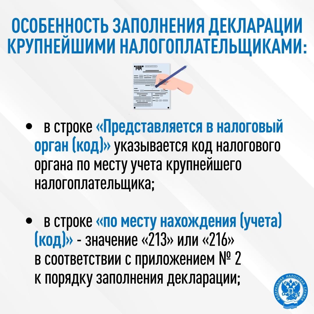 Стартовала декларационная кампания по налогу на имущество организаций за 2025 год