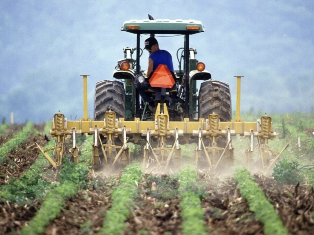 Цифровизация HR. Почему это важно даже для небольших компаний АПК