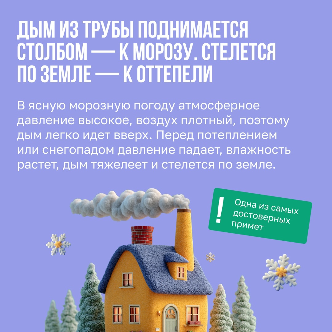 Если в доме есть собака, то и прогноз погоды не нужен