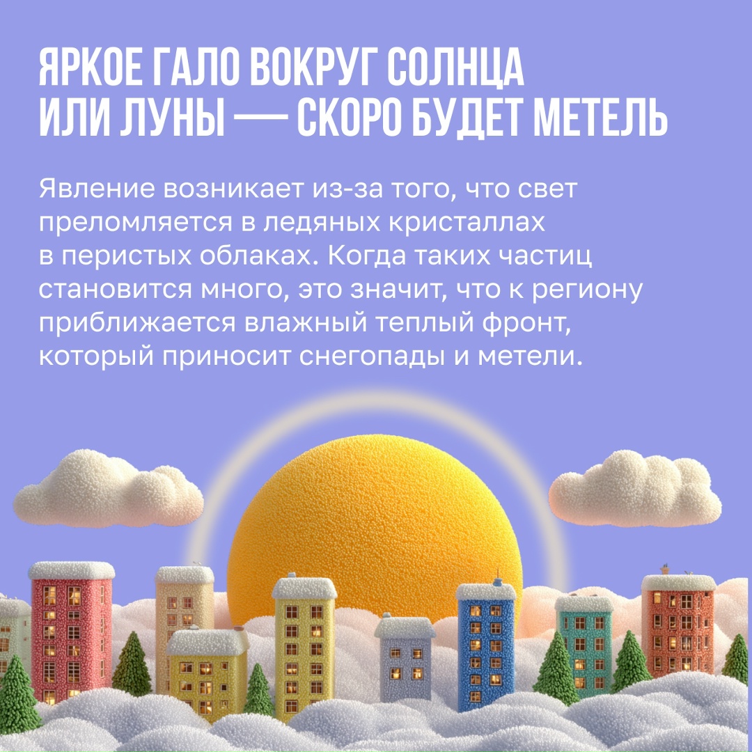 Если в доме есть собака, то и прогноз погоды не нужен