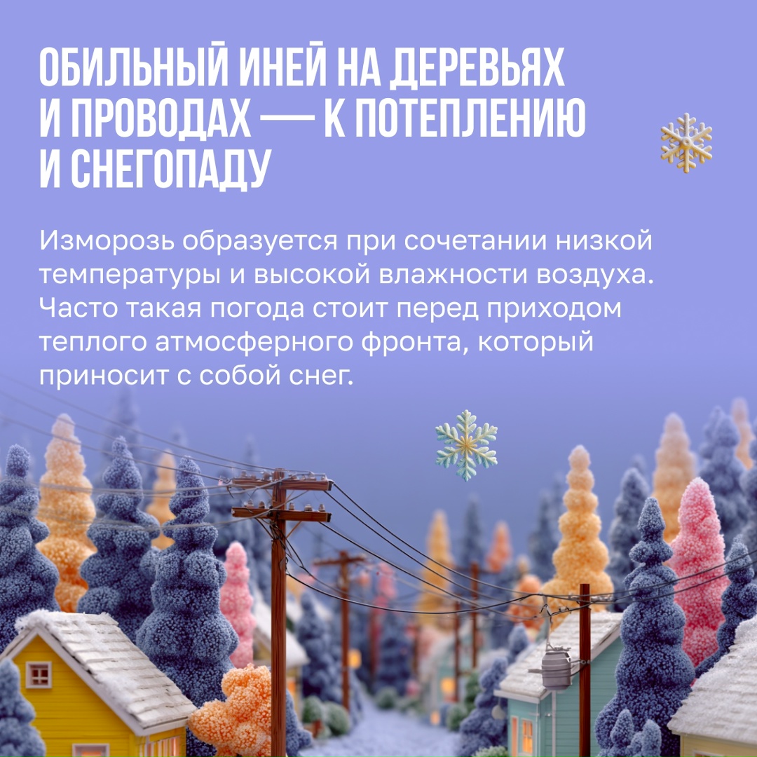 Если в доме есть собака, то и прогноз погоды не нужен