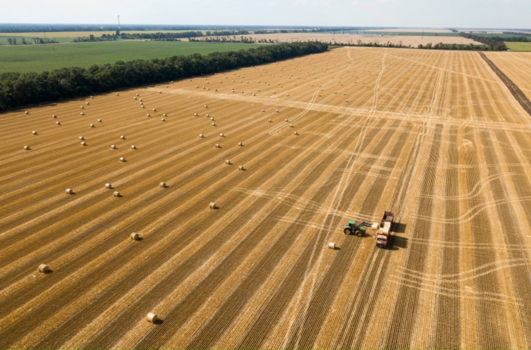 Премьер-министр Михаил Мишустин по итогам прошедшей в ноябре прошлого года стратегической сессии дал ряд поручений, касающихся экспорта продукции АПК