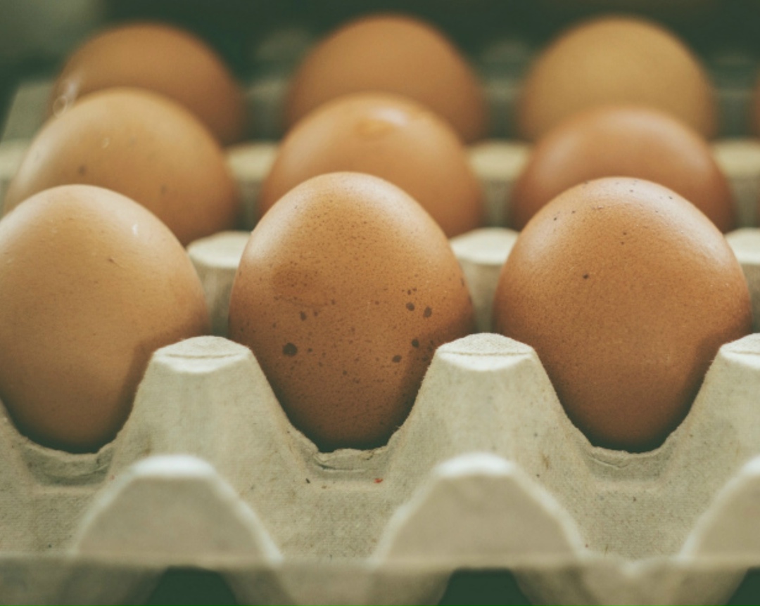 Птицефабрика «Башкирская» может восстановить производство в 2026 году, пишет «РБК Уфа» со ссылкой на Минсельхоз Башкортостана