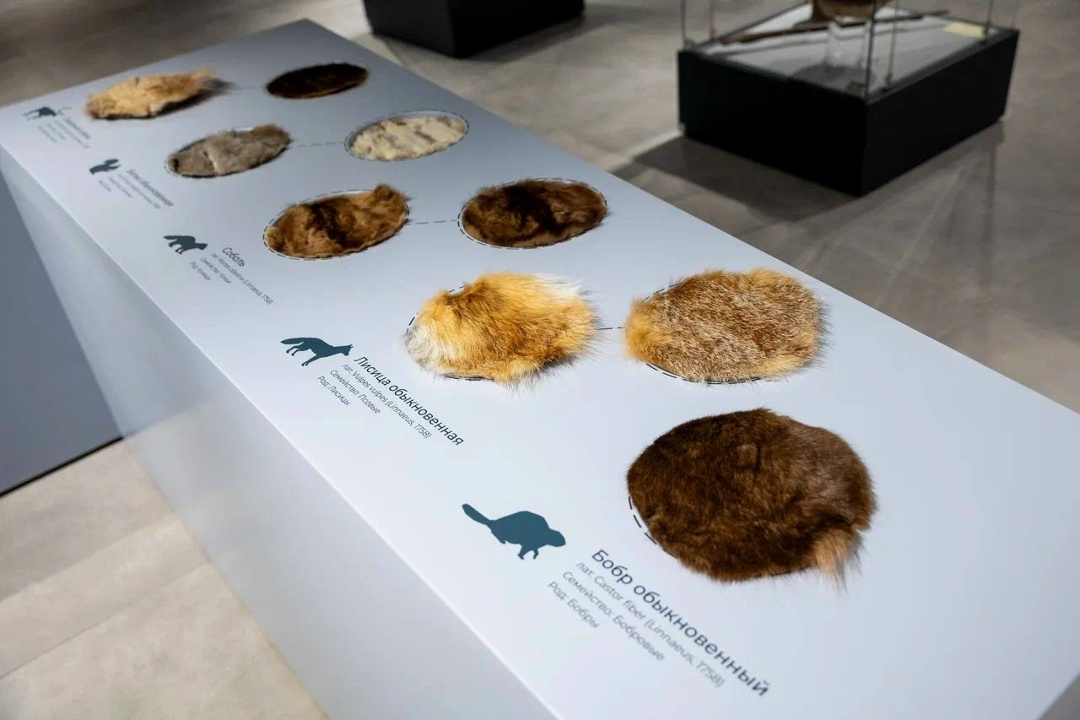 Парк югорского периода При поддержке ЛУКОЙЛа на территории уникального природно-археологического комплекса «Барсова гора» построен мультимедийный музей, не…