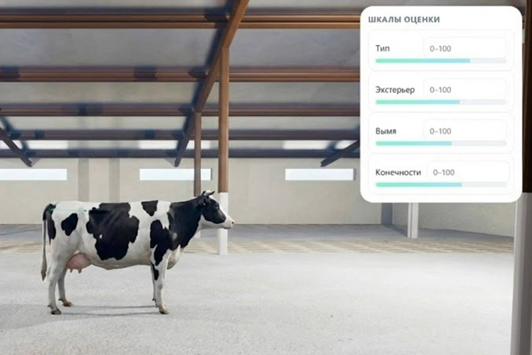 «Виртуальная корова» для обучения студентов