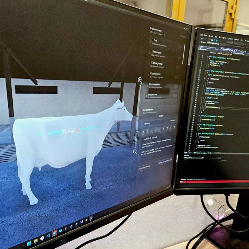 «Виртуальная корова» для обучения студентов