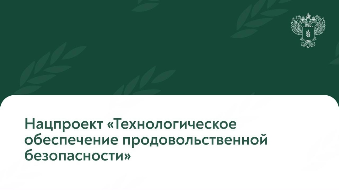 Нацпроект «Технологическое обеспечение продовольственной безопасности» стимулирует развитие аграрной науки и технологий
