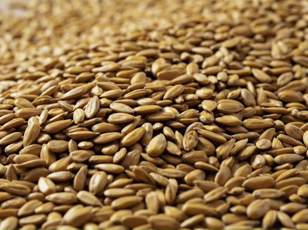 Компания «ЛЕОН» (Ростовская область) в прошлом году увеличила производственные мощности на 60% - с 50 т до 80 т переработки подсолнечника в сутки