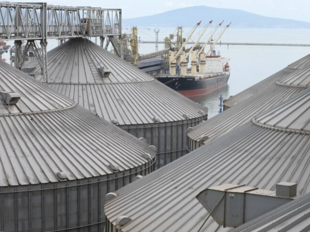 Иностранная сельскохозяйственная служба Минсельхоза США (FAS USDA) в своем январском прогнозе сохранила оценку экспорта пшеницы из России в сезоне-2025/26 на…