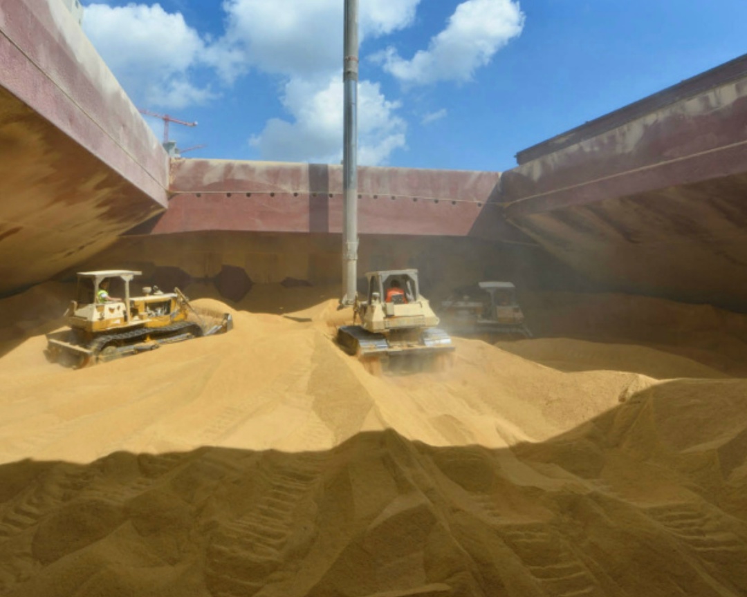 В январе экспорт пшеницы из России может составить 2,8-3 млн т против 2,5 млн т год назад, оценил аналитический центр «Русагротранса». С июля по декабрь…