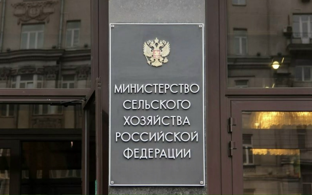 Премьер-министр Михаил Мишустин назначил Марию Маркелову заместителем министра сельского хозяйства