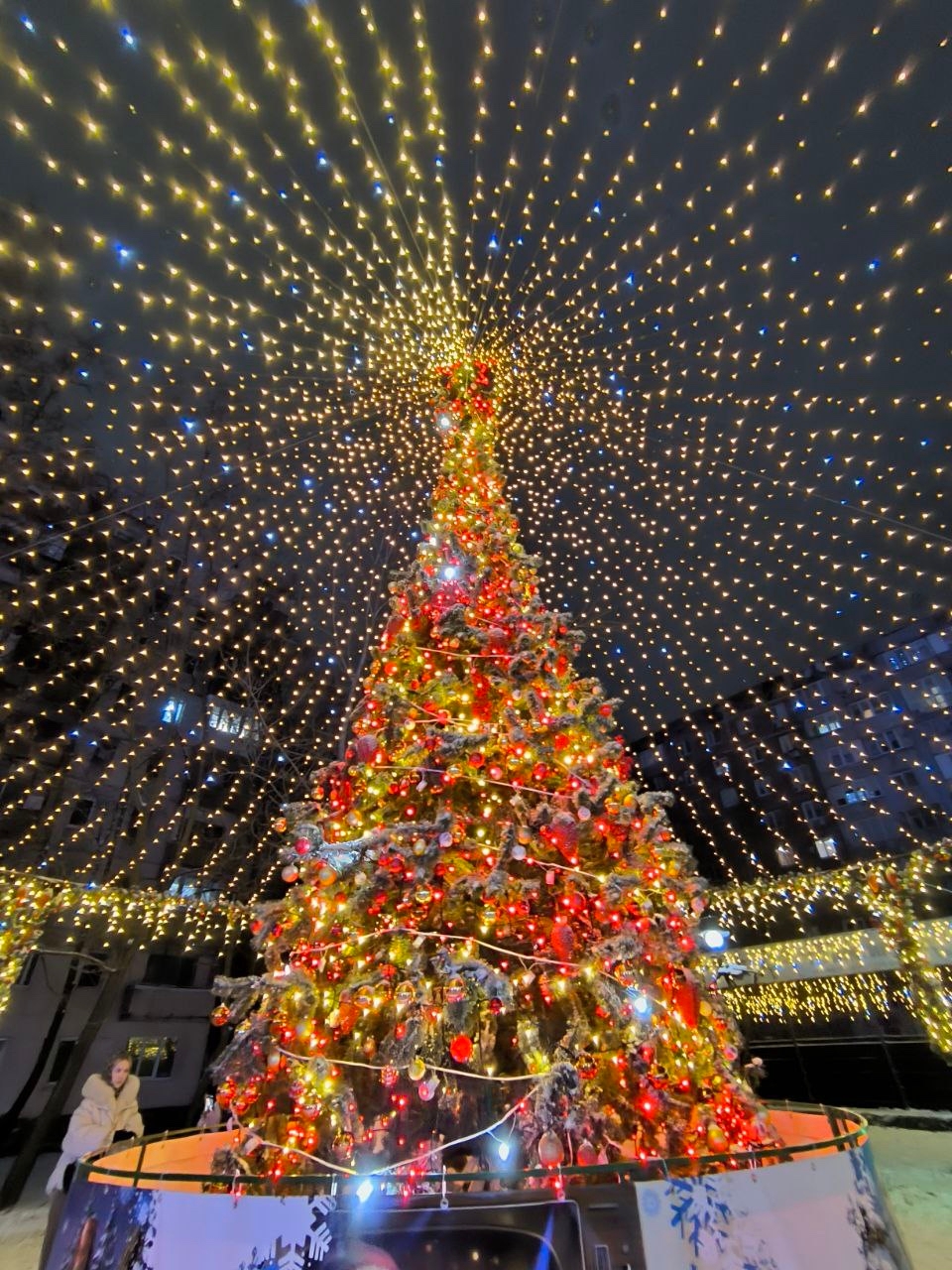 Определены победители Всероссийского конкурса «Елки России»