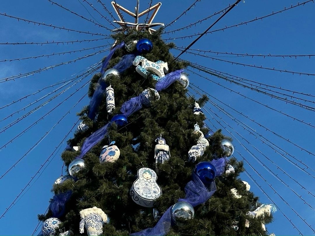 Определены победители Всероссийского конкурса «Елки России»