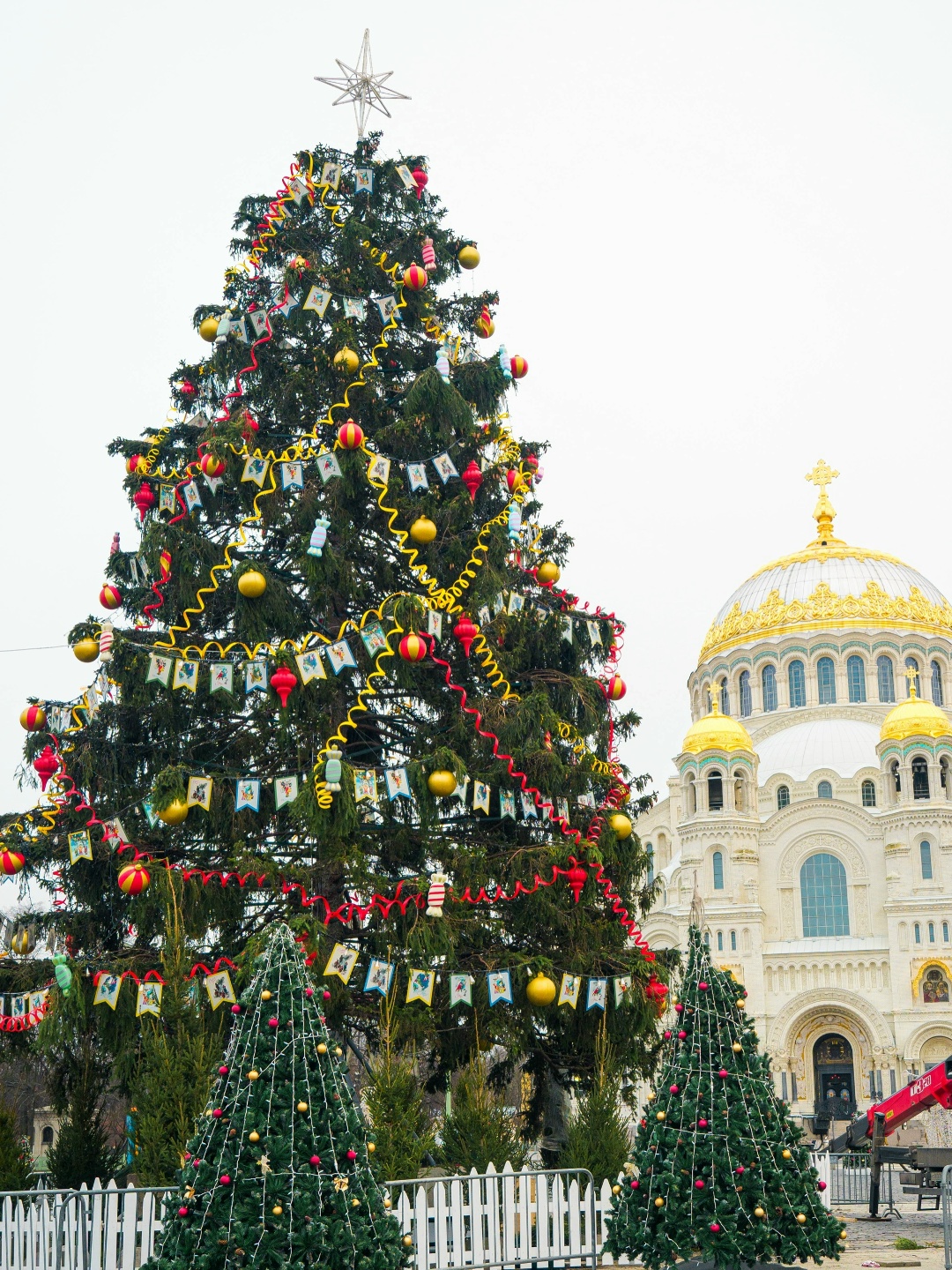 Определены победители Всероссийского конкурса «Елки России»