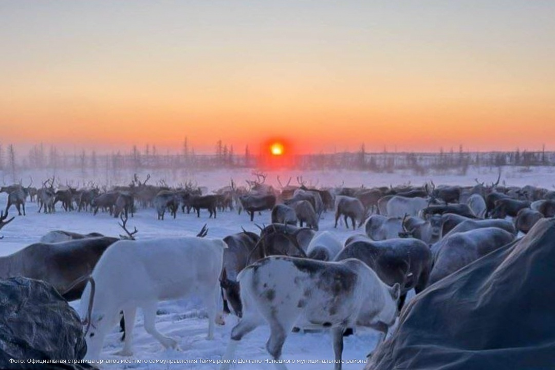 Солнце возвращается на Крайний Север