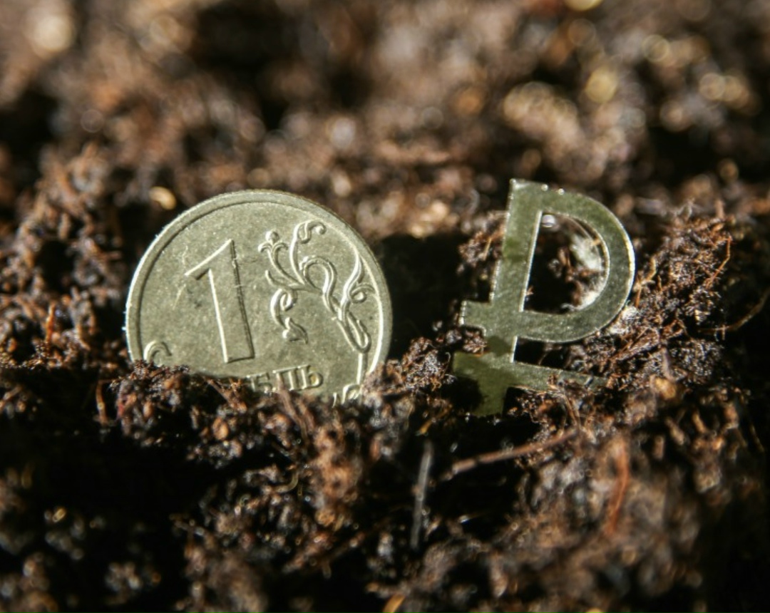 Аналитики «Финама» представили стратегию на 2026 год. В базовом сценарии они прогнозируют стабилизацию экономики и рост ВВП на уровне 1-1,2%. Основным…