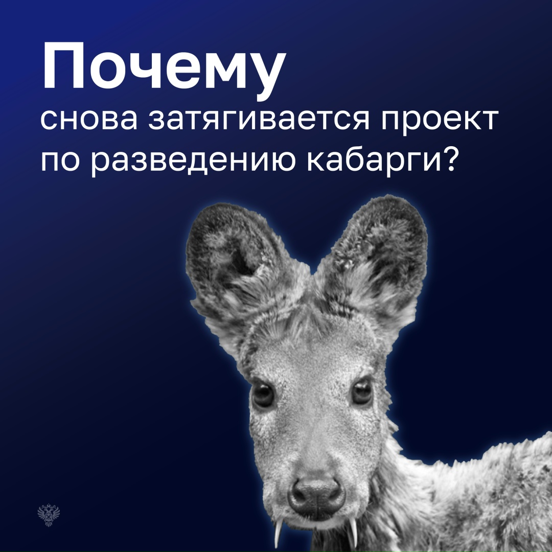 Строительство лаборатории с питомником для кабарги затянулось почти на 10 лет.