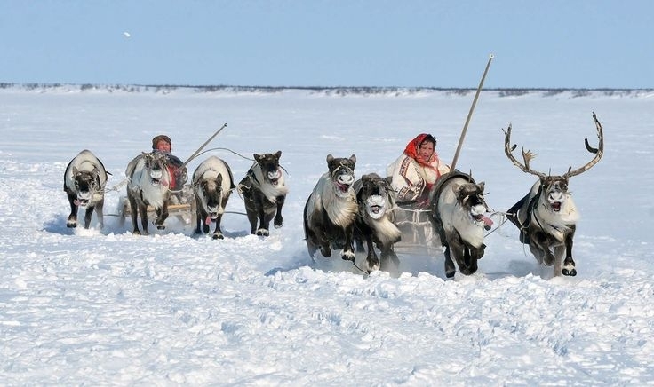 Чего не хватает в дни, когда машины застревают в сугробах?