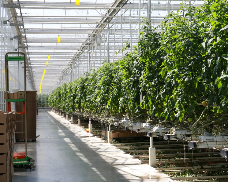 Самое интересное за неделю с 12 по 18 января