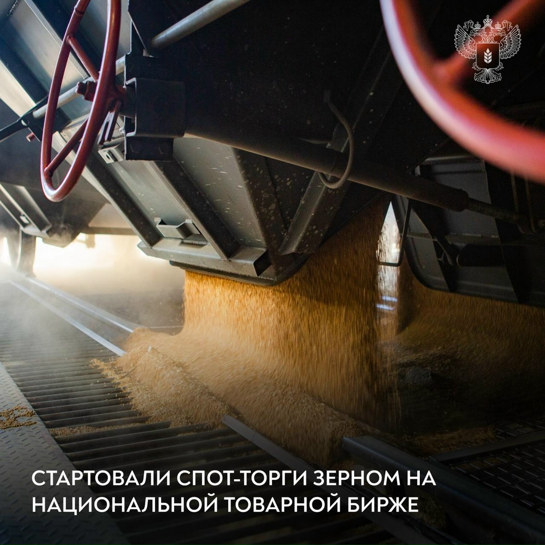 В России прошли первые биржевые спот-торги зерном