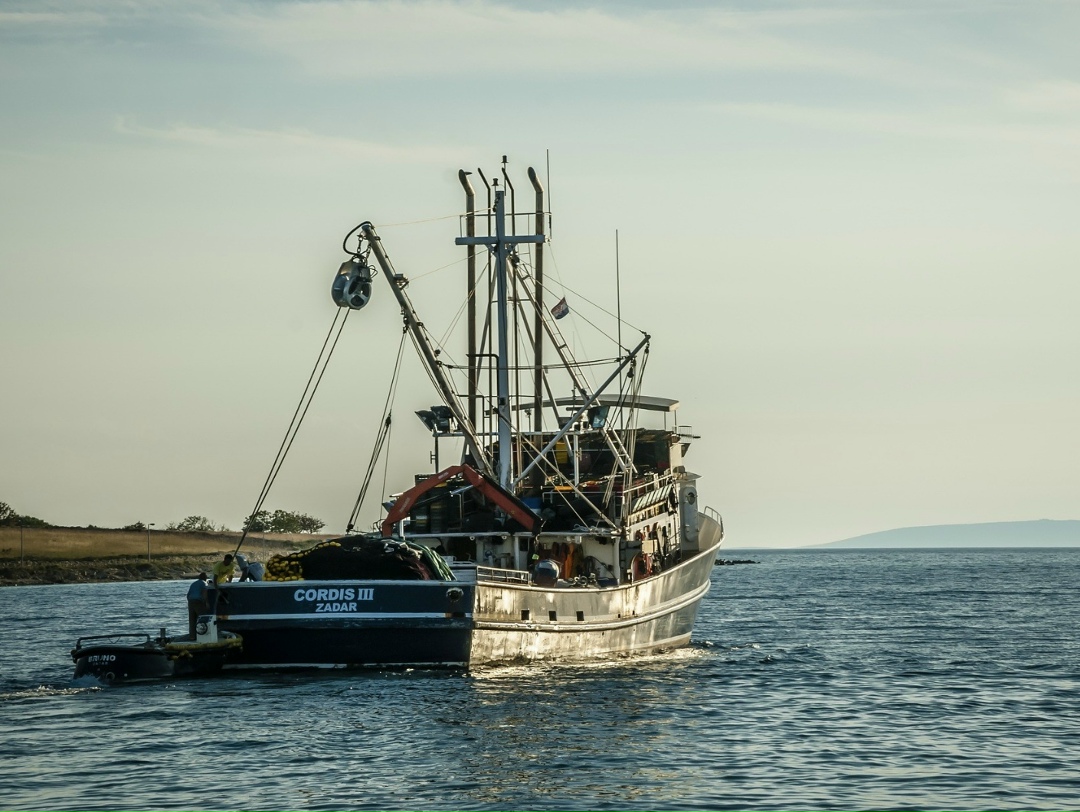 Российская рыбопромысловая отрасль с 1 января 2026 года использует исключительно отечественные спутники для мониторинга судов, применение британских спутников…