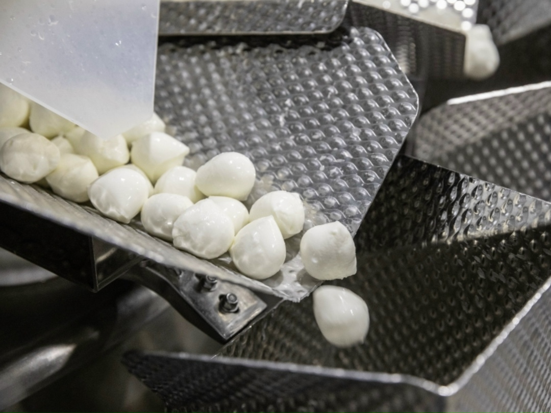 Россия в 2025 году, по предварительным данным, экспортировала молочной продукции более чем на $500 млн, поставки шли почти в 100 стран, сообщил руководитель…