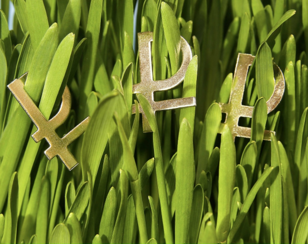 Рентабельность деятельности сельхозорганизаций в 2025 году, по прогнозу, составит 13% без учета субсидий, с учетом — 15,7%, пишет Поле рф со ссылкой на…