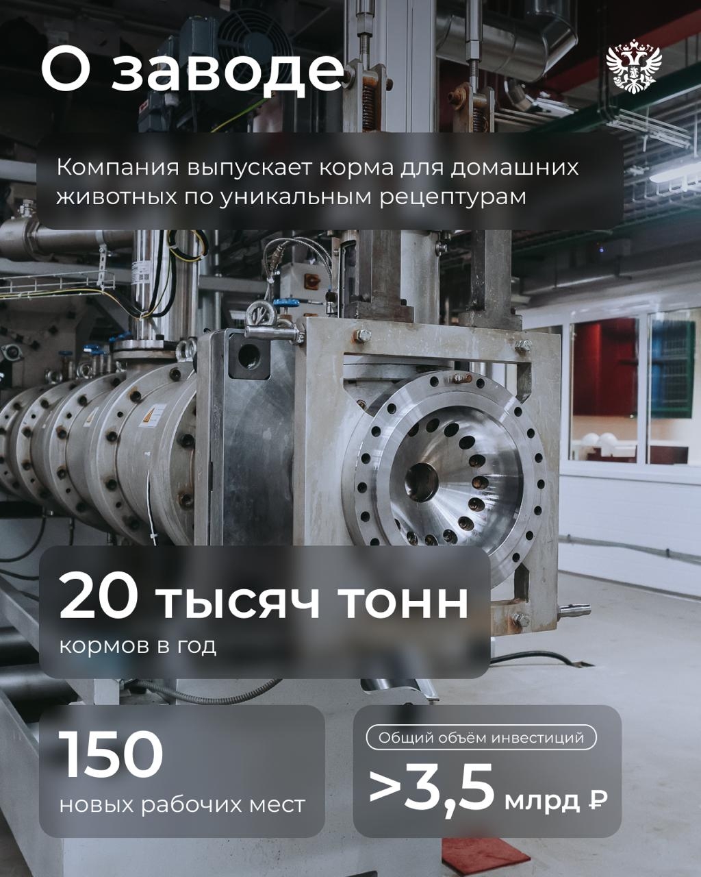 Спортсмены, учителя и инноваторы — всё это о ПЕТЭКСПЕРТЕ