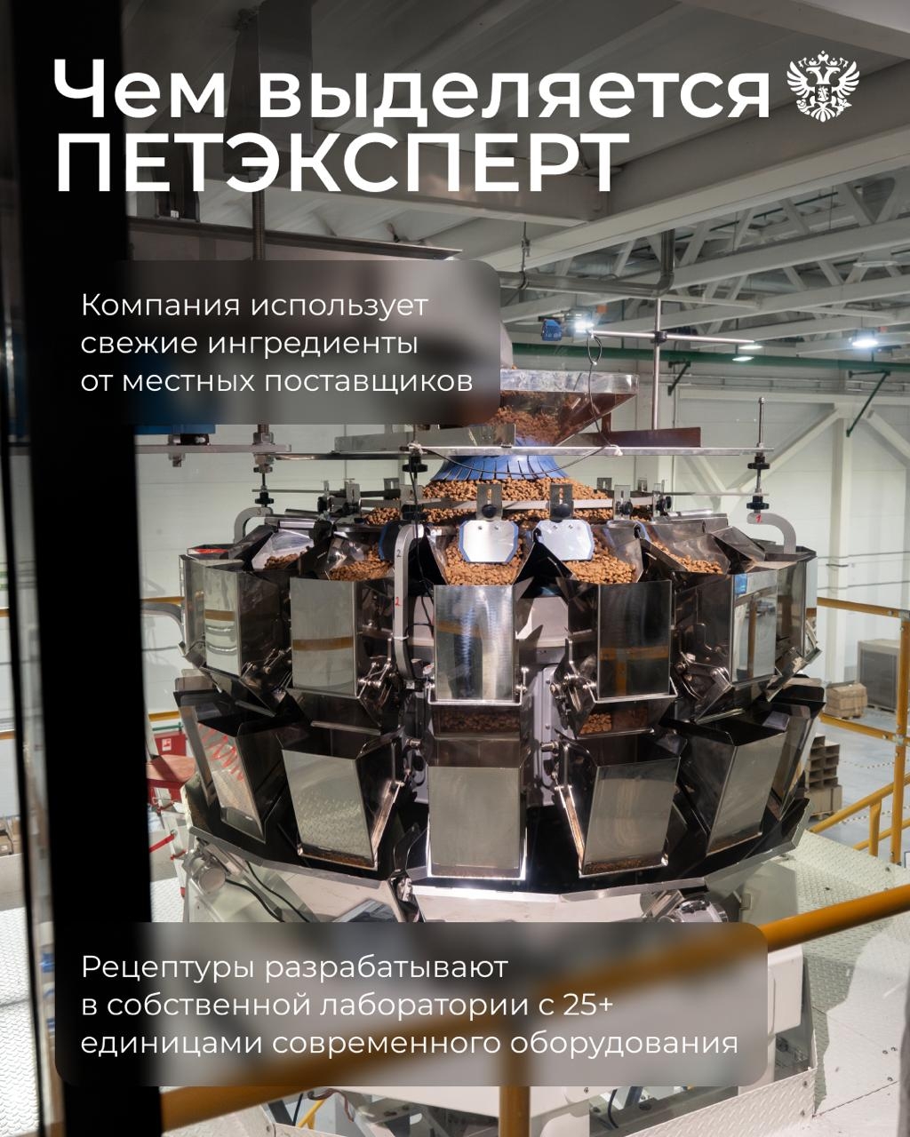 Спортсмены, учителя и инноваторы — всё это о ПЕТЭКСПЕРТЕ