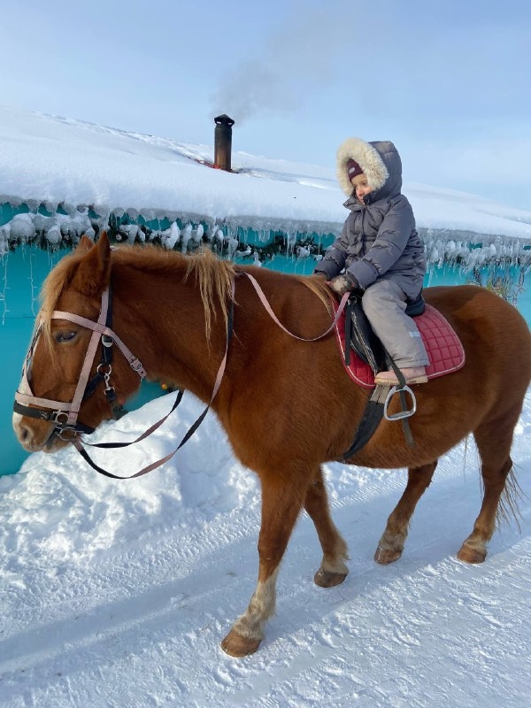 Победители детского новогоднего конкурса «Символ года 2026» провели волшебные выходные в Рязани