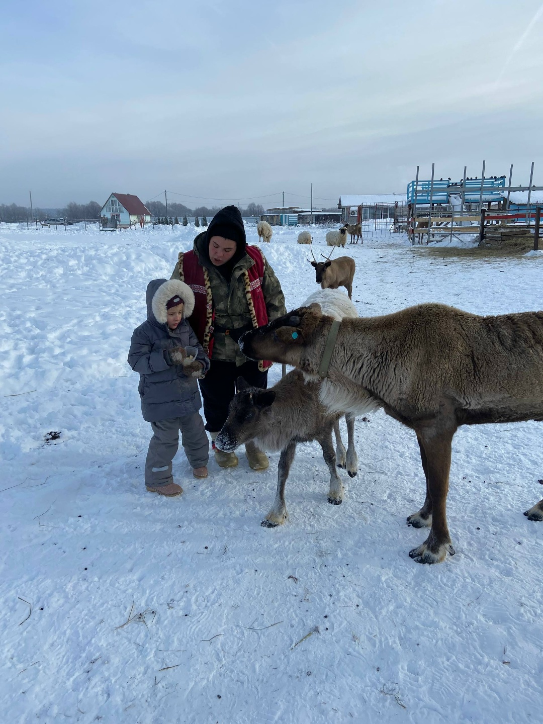 Победители детского новогоднего конкурса «Символ года 2026» провели волшебные выходные в Рязани
