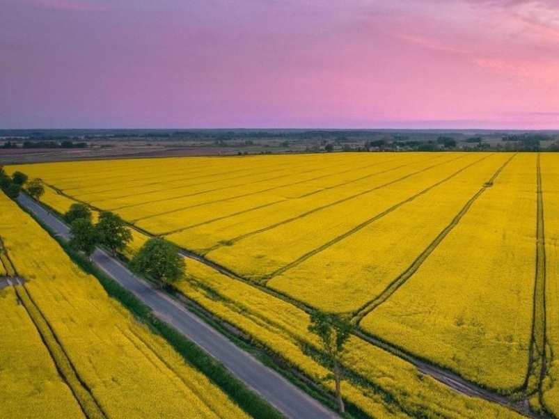 Правительство продлило до 31 августа 2026 года квоты на экспорт рапса и подсолнечника из Забайкальского края и ввело дополнительную квоту на вывоз рапса. Ранее…