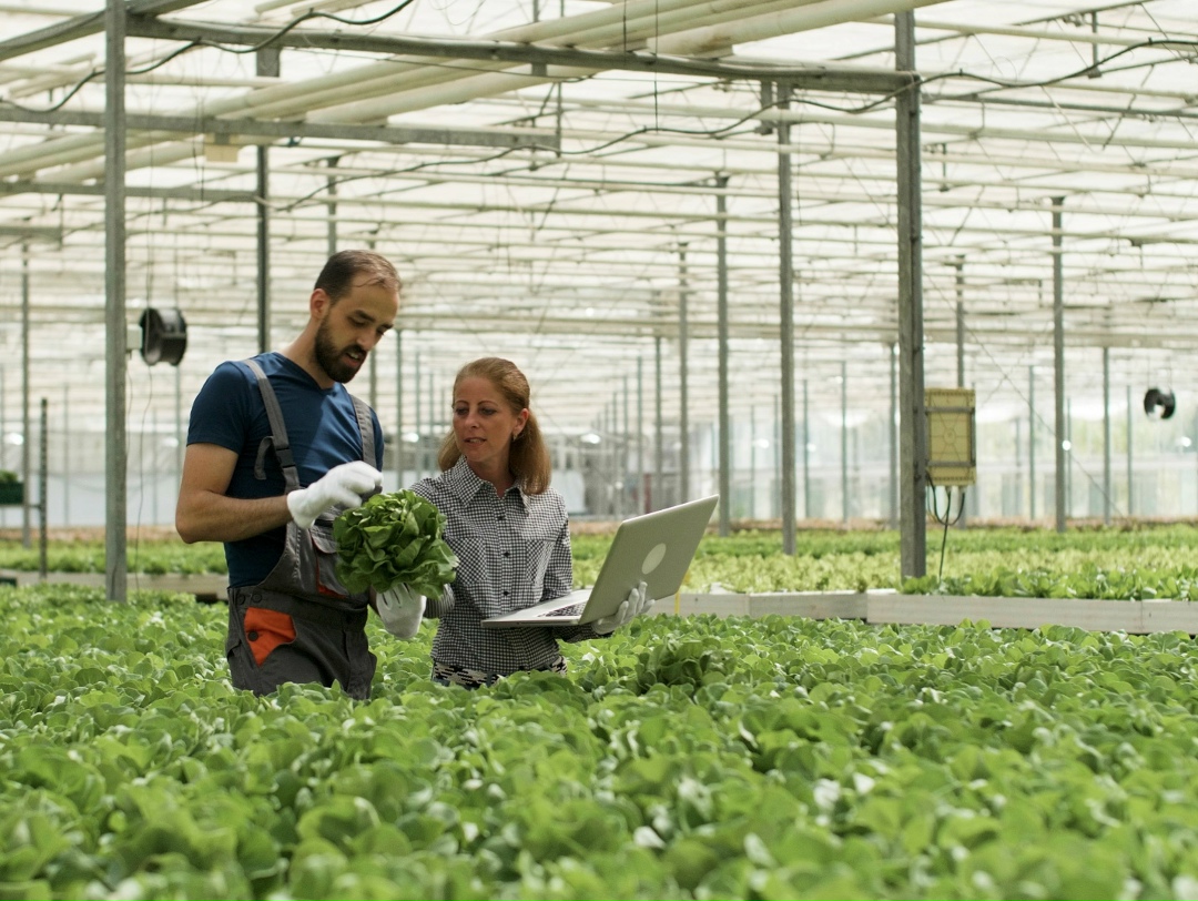 Платформа онлайн-рекрутинга hh ru представила результаты Рейтинга работодателей России за 2025 год, в который вошли 1792 российские компании из 41 отрасли и 69…