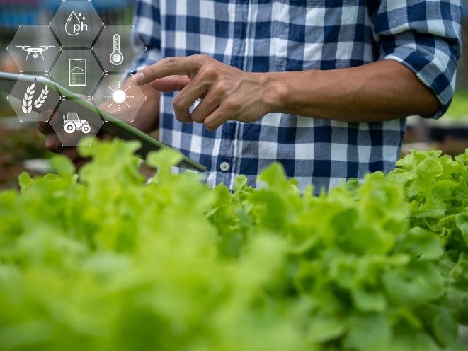 В 2025 году 90% крупных компаний в АПК и пищепроме увеличили ИТ-бюджеты