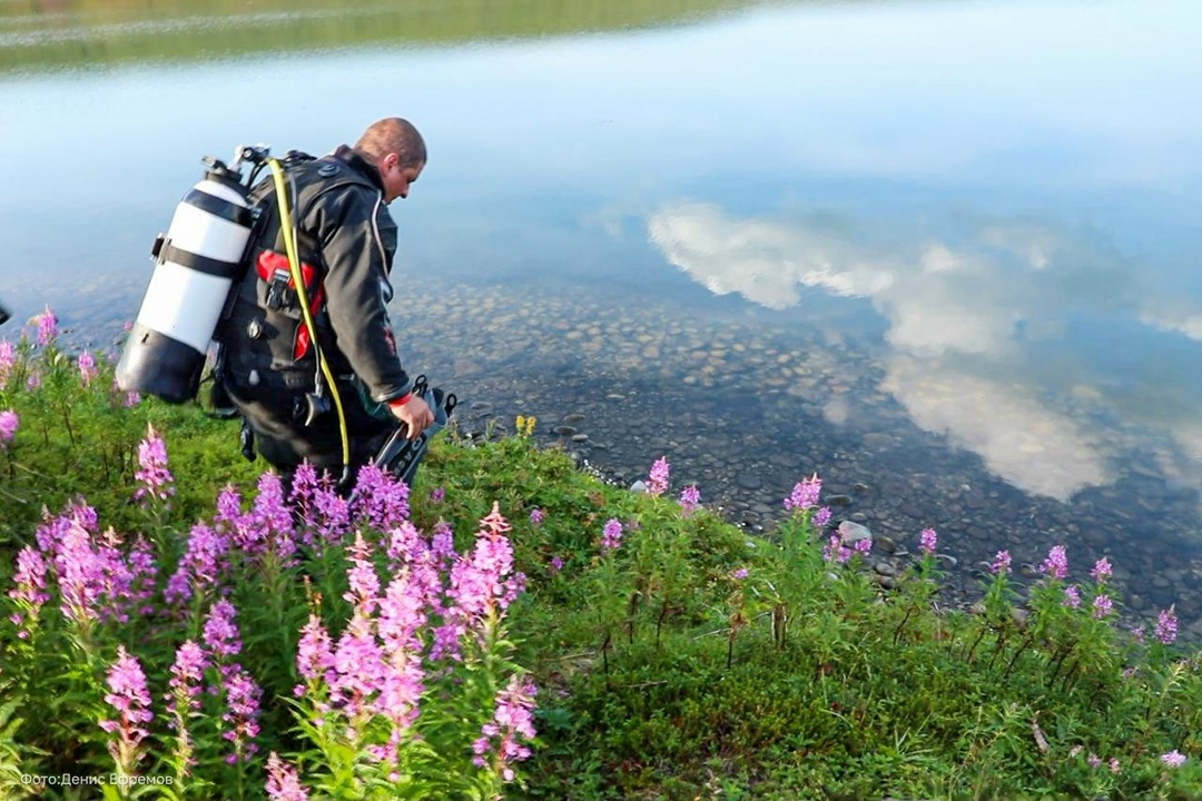 Тысячу лет вдали от «дома» Стартовал новый, лабораторный, этап исследований уникального краснокнижного эндемика — кильдинской трески.