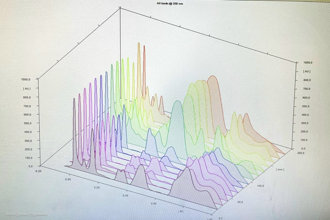 Тысячу лет вдали от «дома» Стартовал новый, лабораторный, этап исследований уникального краснокнижного эндемика — кильдинской трески.