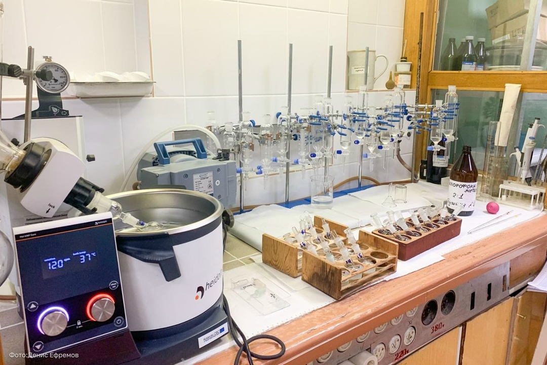 Тысячу лет вдали от «дома» Стартовал новый, лабораторный, этап исследований уникального краснокнижного эндемика — кильдинской трески.