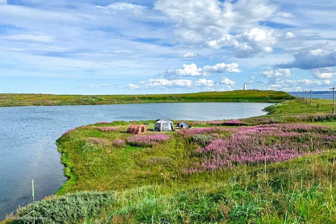 Тысячу лет вдали от «дома» Стартовал новый, лабораторный, этап исследований уникального краснокнижного эндемика — кильдинской трески.