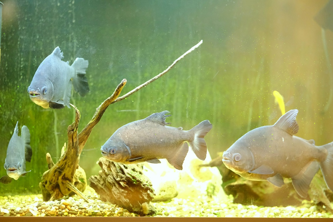 ЗОНА КОМФОРТА Отсюда - наш новый фоторепортаж.