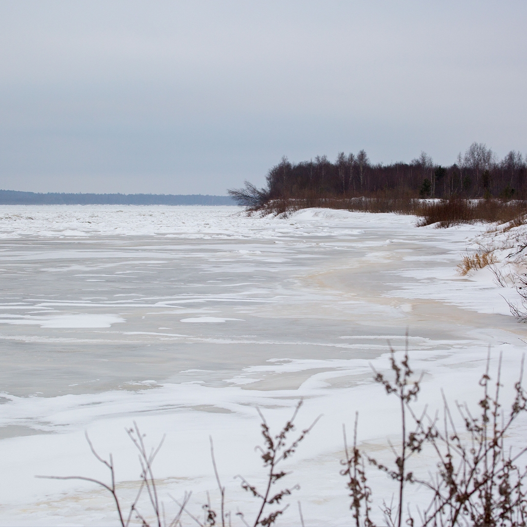 Мост для всех! Каждый год газовики строят понтонную переправу через реку Печору в Республике Коми