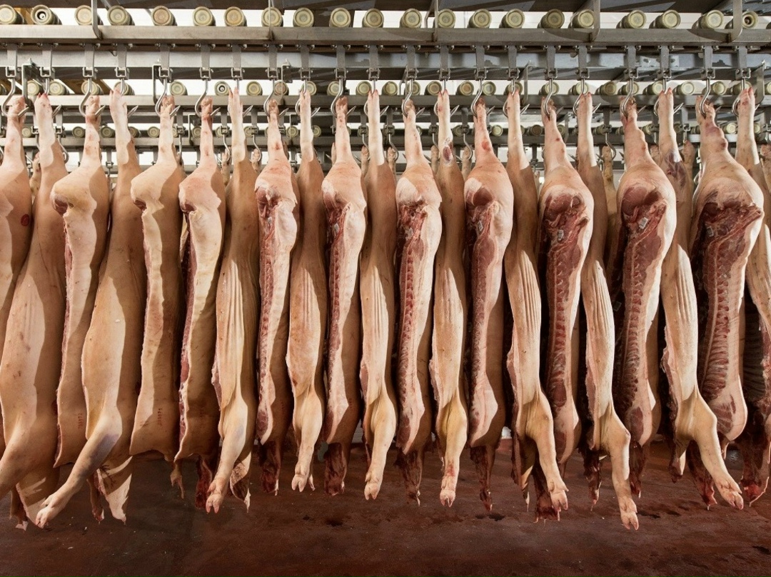 За 2025 год «Сибагро» поставила на экспорт 33,4 тыс. т продукции – на 23% больше, чем в 2024-ом