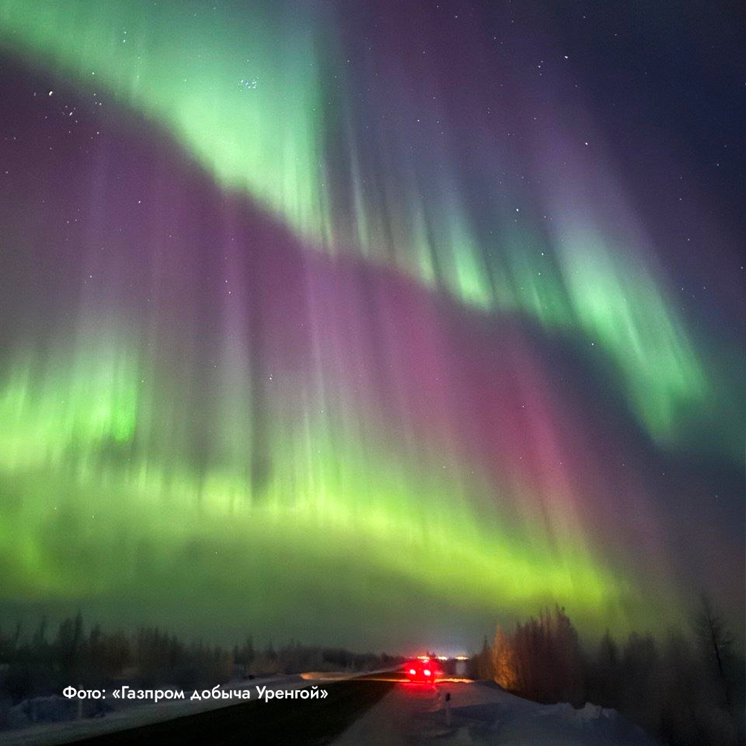 Полярное сияние в этом году вышло за привычные границы и засветилось даже там, где его видят крайне редко.