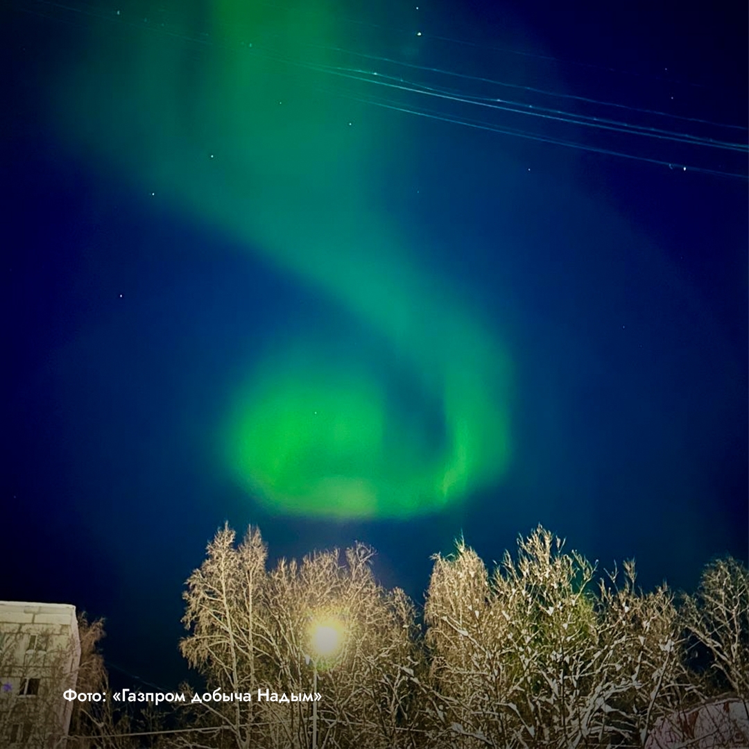 Полярное сияние в этом году вышло за привычные границы и засветилось даже там, где его видят крайне редко.