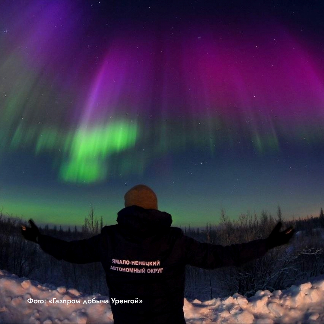 Полярное сияние в этом году вышло за привычные границы и засветилось даже там, где его видят крайне редко.